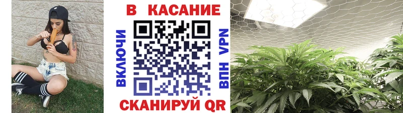 Продажа наркотиков Котлас Галлюциногенные грибы Мефедрон КЕТАМИН Каннабис ГАШ