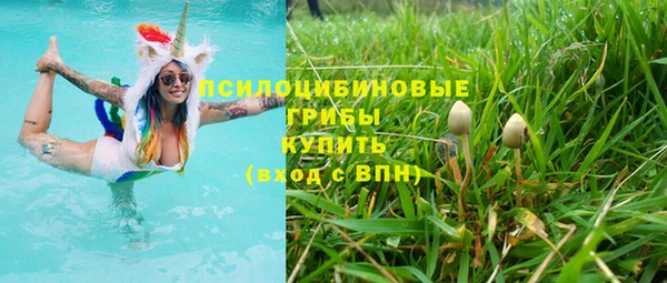эйфоретик Абинск