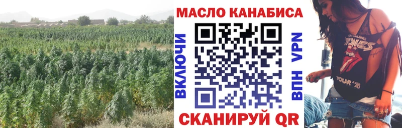 как найти закладки  Котлас  Дистиллят ТГК жижа 