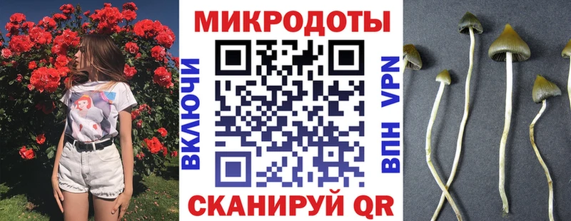 Псилоцибиновые грибы Magic Shrooms  Котлас 