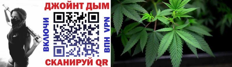 как найти наркотики  даркнет официальный сайт  Шишки марихуана SATIVA & INDICA  Котлас 